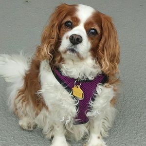 Meet your Posher, Joana